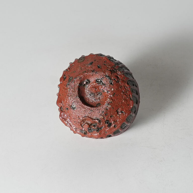 tamb-iima-shuk-0003