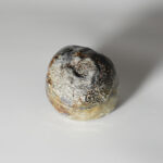 tamb-ooma-shuk-0123