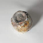 tamb-ooma-shuk-0125