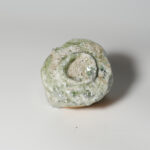 shig-saka-shuk-0115