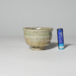 shig-fuka-shuk-0040
