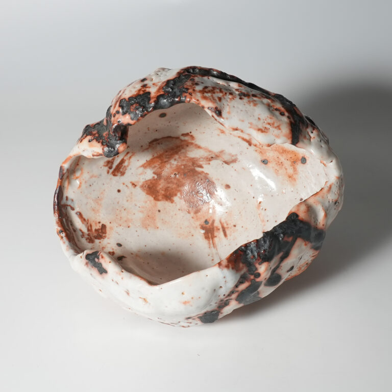 mino-gohi-teat-0001