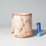 mino-sush-cups-0034